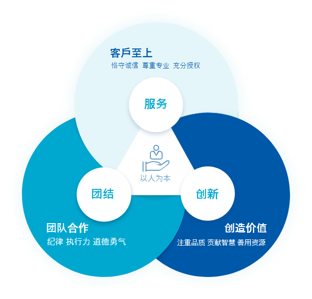 cn vision discript 1